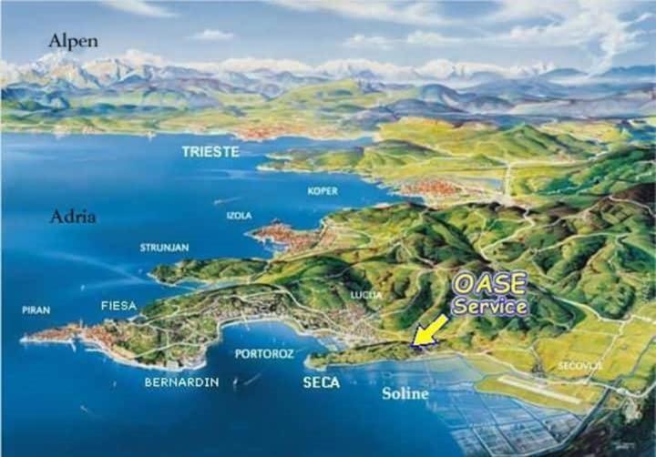 Vista Del Sal Leilighet Portorož Eksteriør bilde