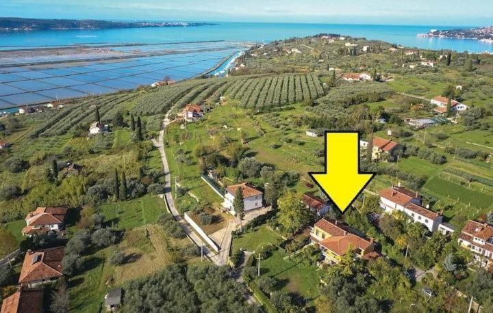 Vista Del Sal Leilighet Portorož Eksteriør bilde